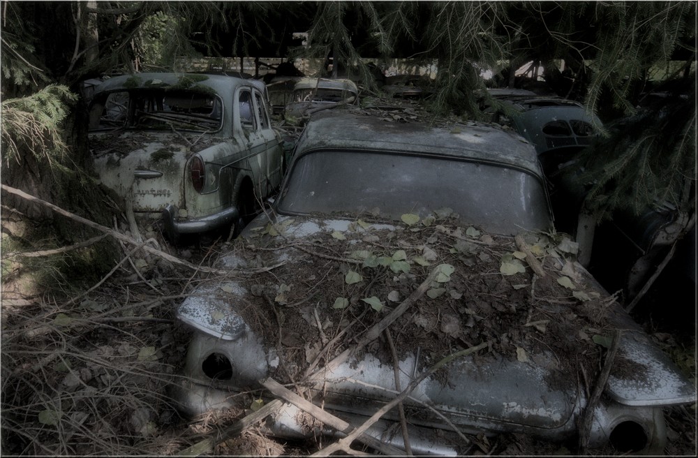 Autofriedhof 10