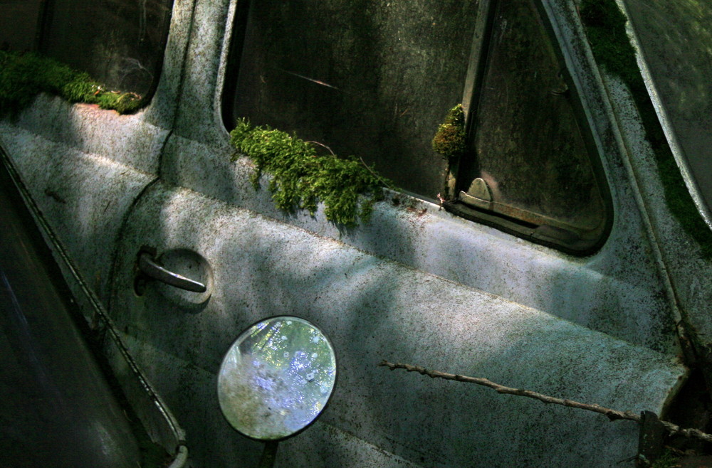 Autofriedhof 2