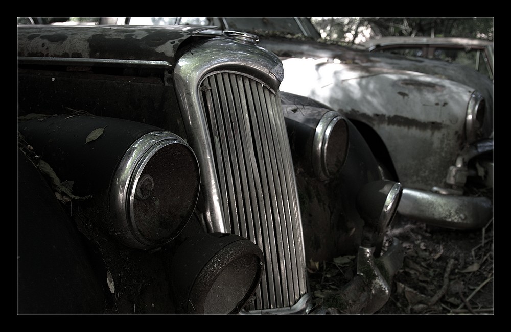 Autofriedhof 2