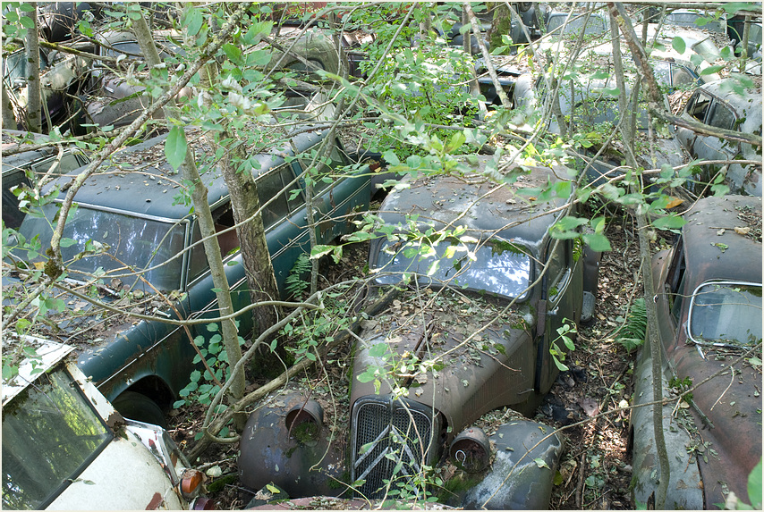 Autofriedhof 3