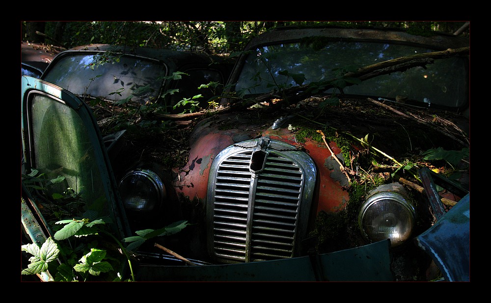 Autofriedhof 4