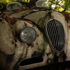 Autofriedhof 4