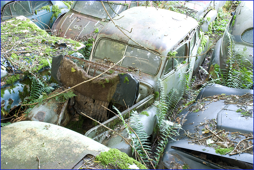 Autofriedhof 4