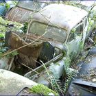 Autofriedhof 4