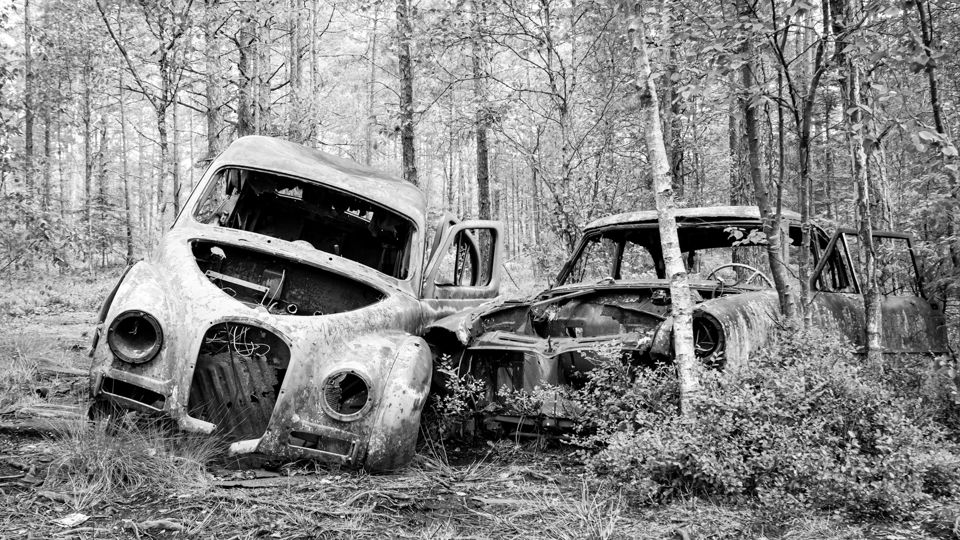 Autofriedhof 