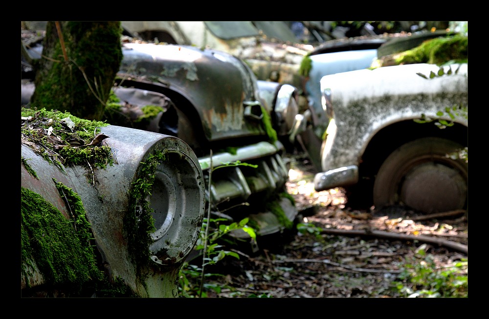 Autofriedhof 5