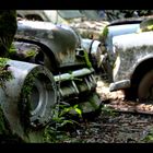 Autofriedhof 5