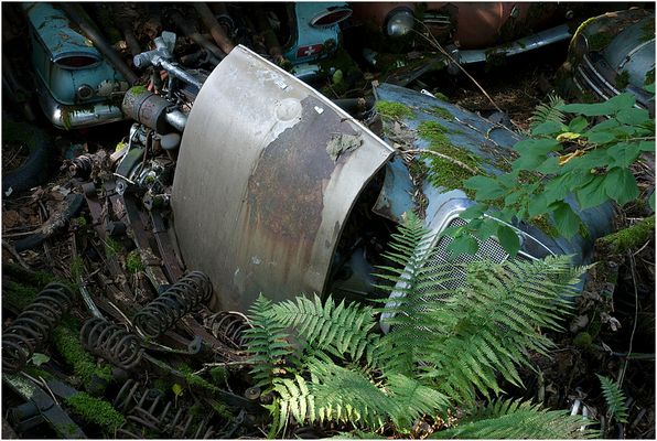 Autofriedhof 5