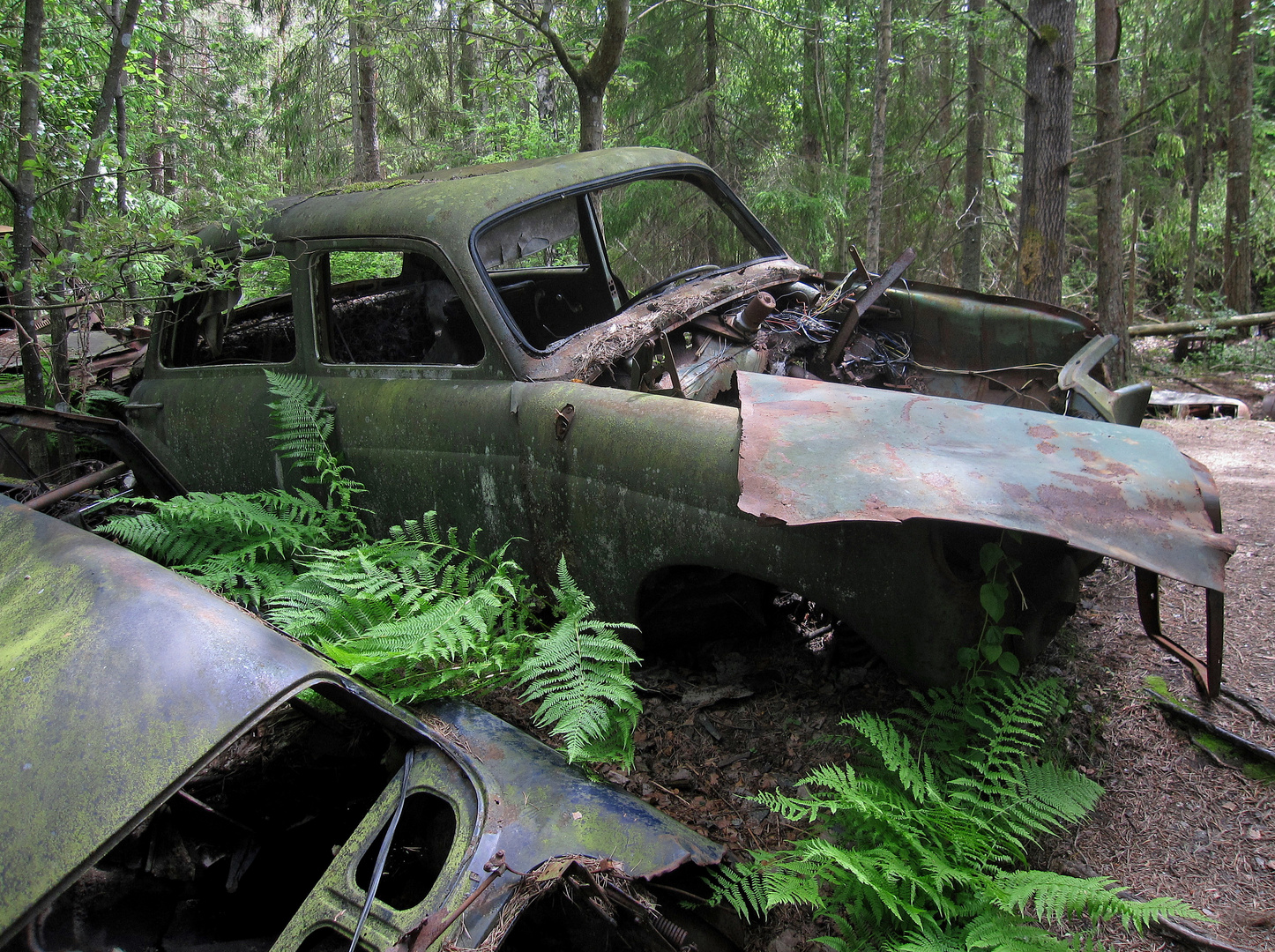 Autofriedhof 