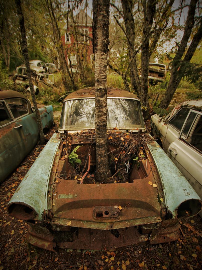 Autofriedhof 7