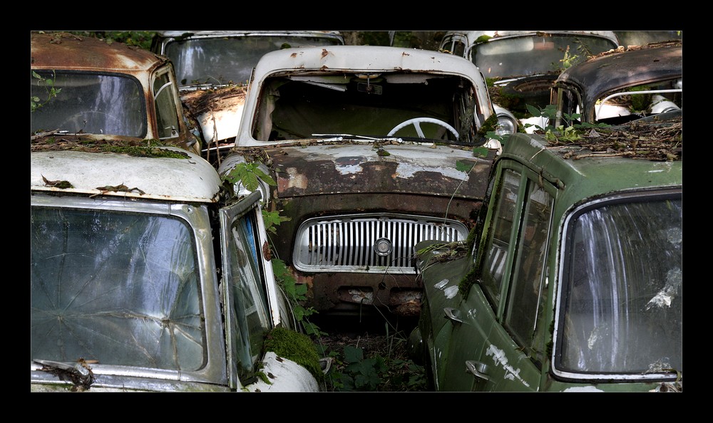 Autofriedhof 7