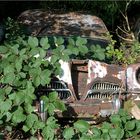 Autofriedhof 7