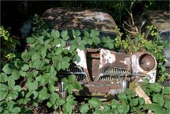 Autofriedhof 7