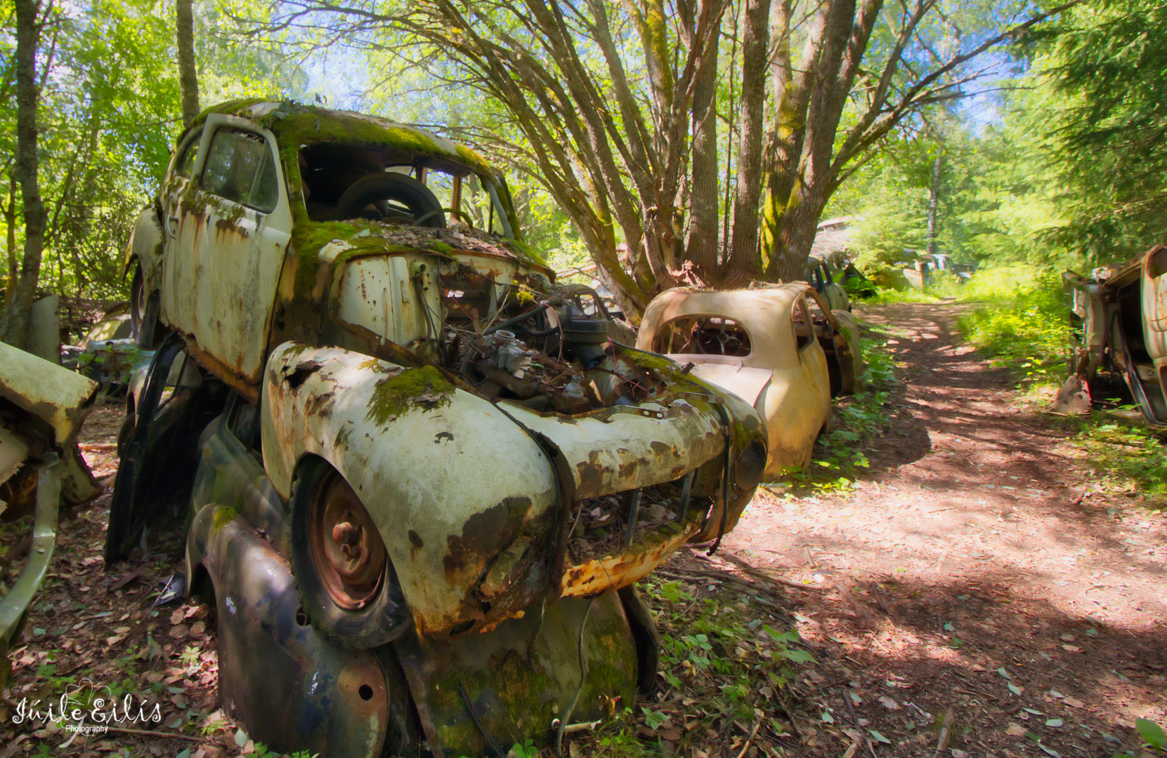 *** Autofriedhof ***