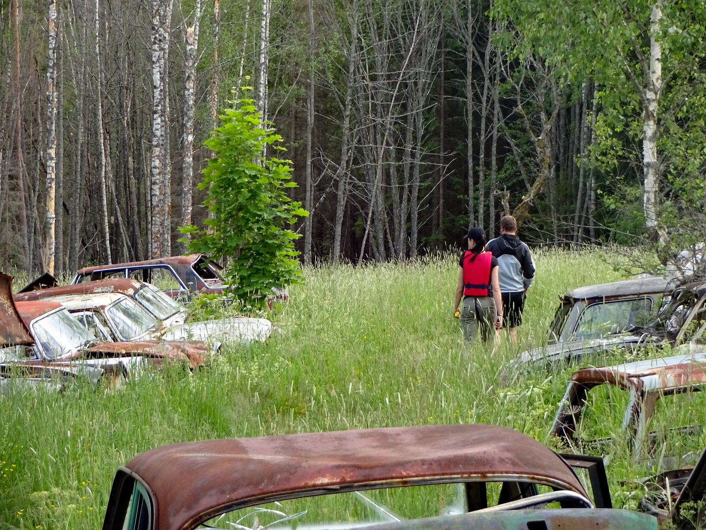 Autofriedhof 