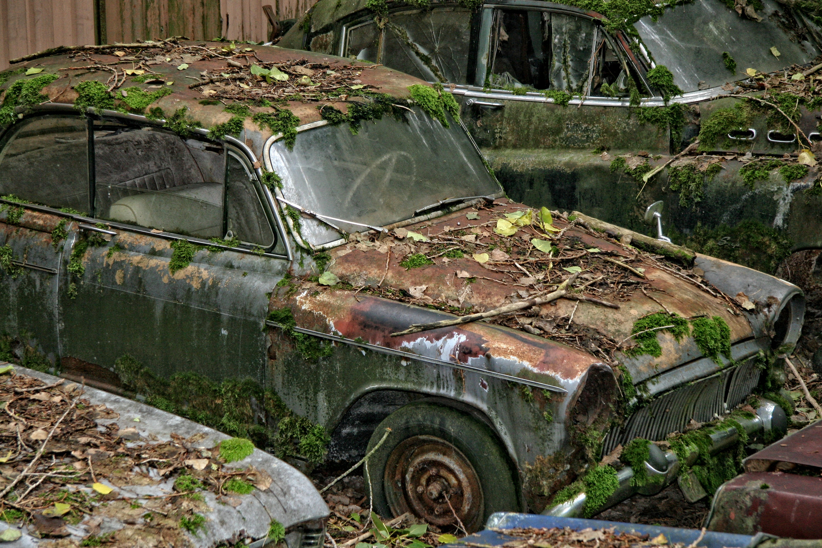 Autofriedhof