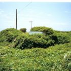 Autofriedhof  auf  Hawaii