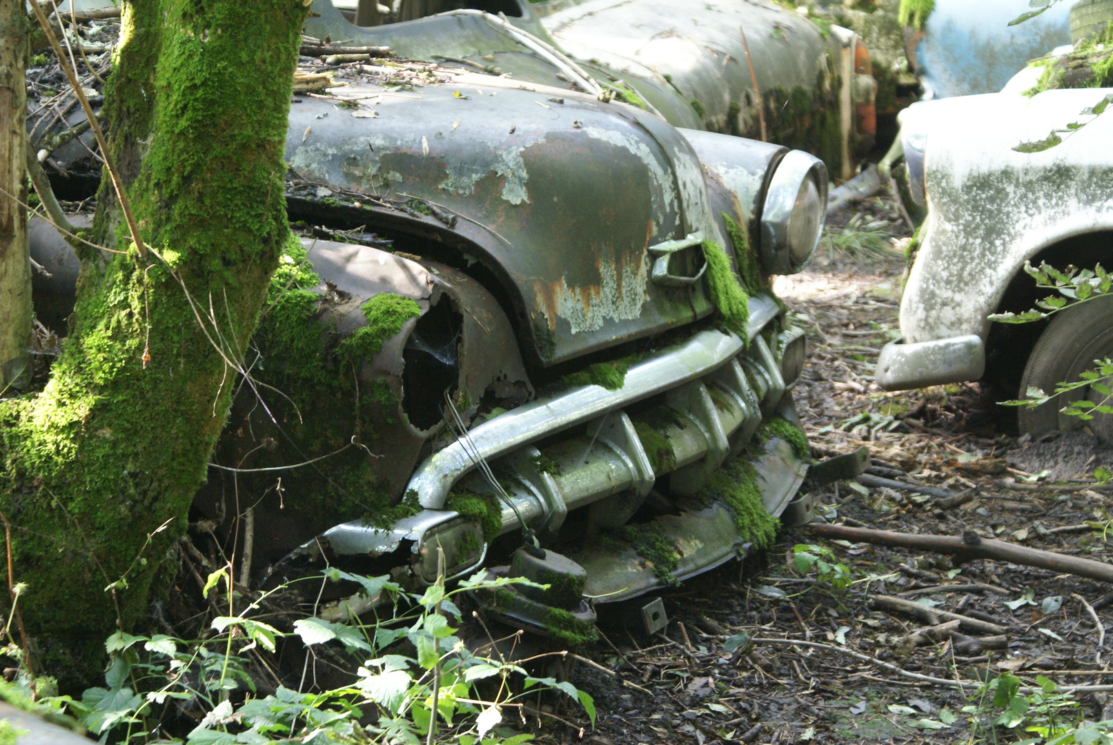 Autofriedhof