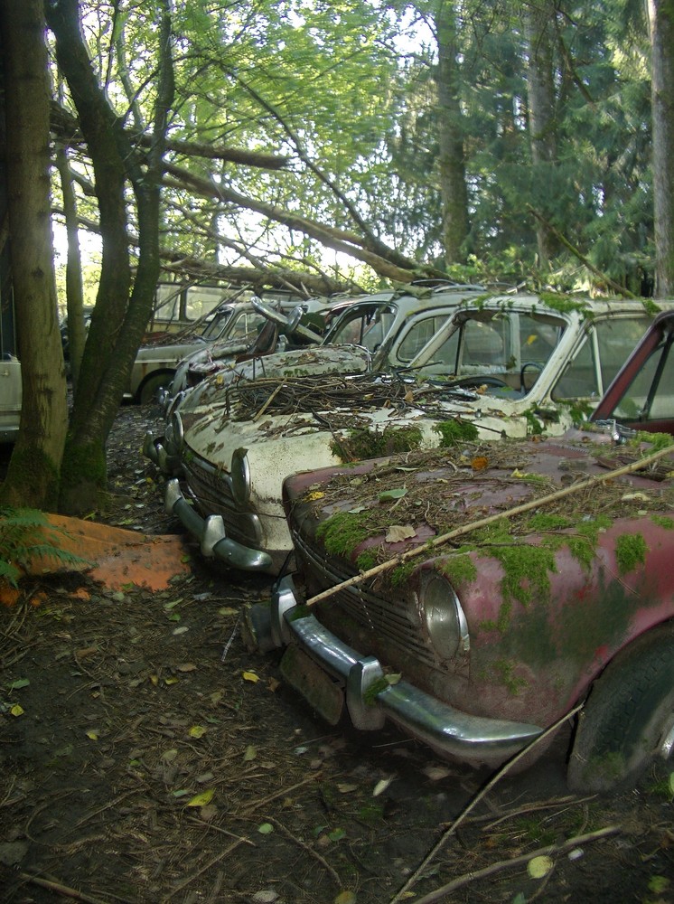 Autofriedhof bei Bern