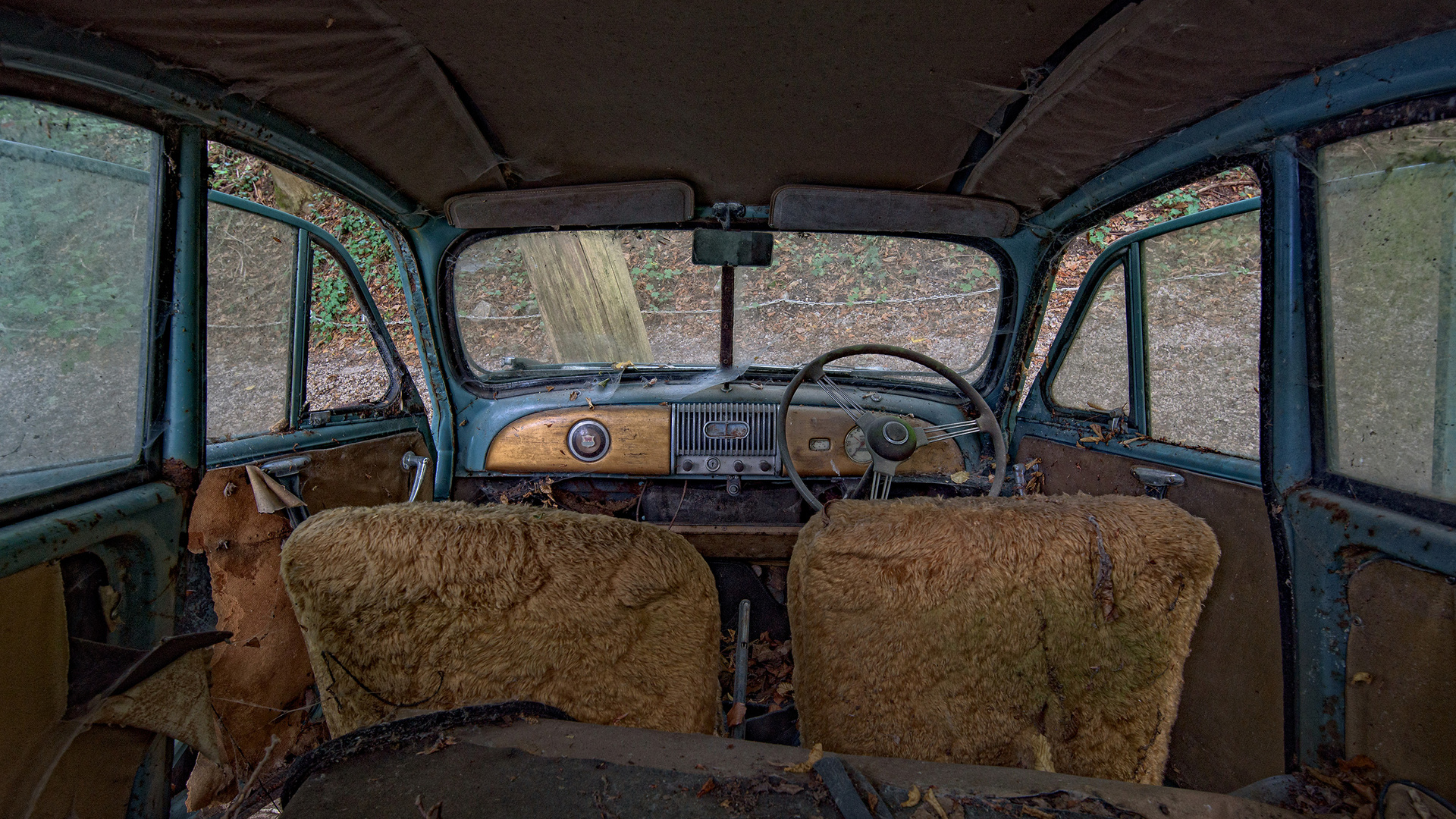 Autofriedhof - Blick nach vorne