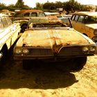 Autofriedhof Capetown