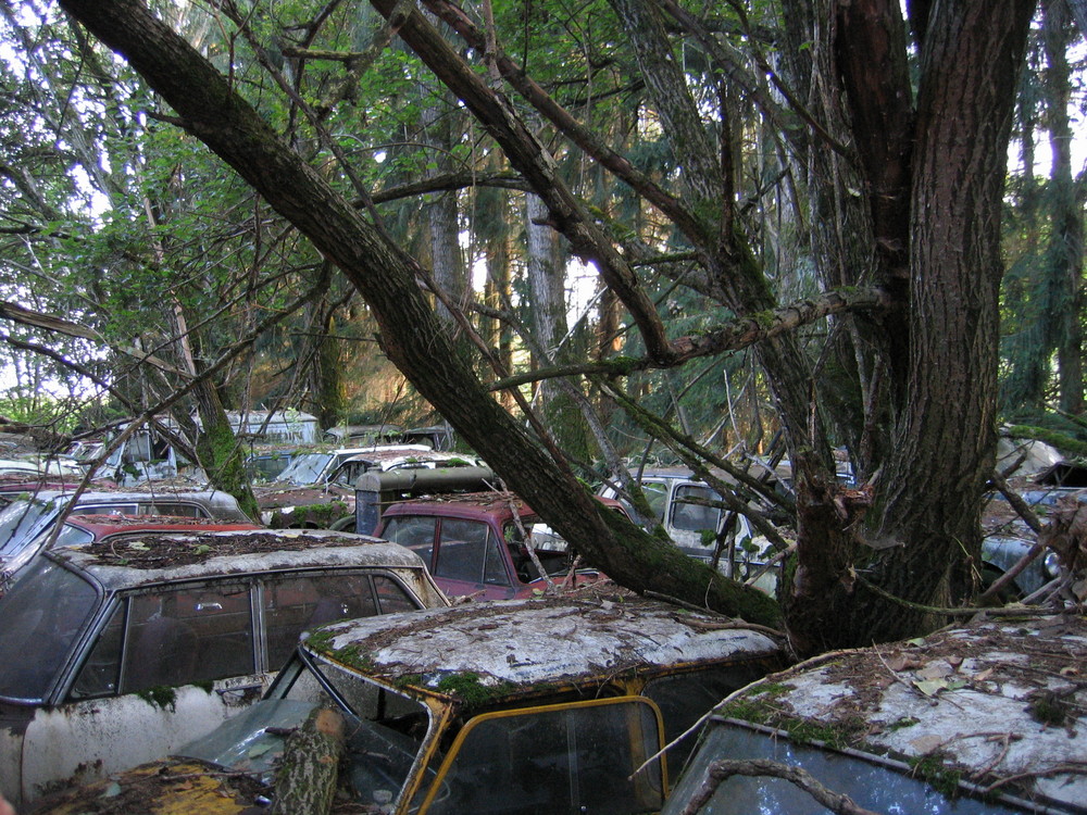 Autofriedhof