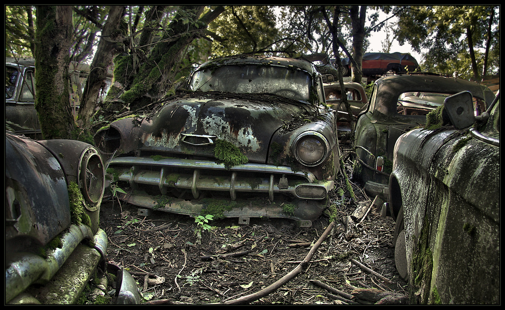 Autofriedhof