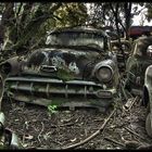 Autofriedhof