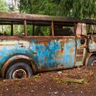 Autofriedhof - Der Bus (1/9)