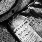 Autofriedhof - Detail mit Zeitung 1