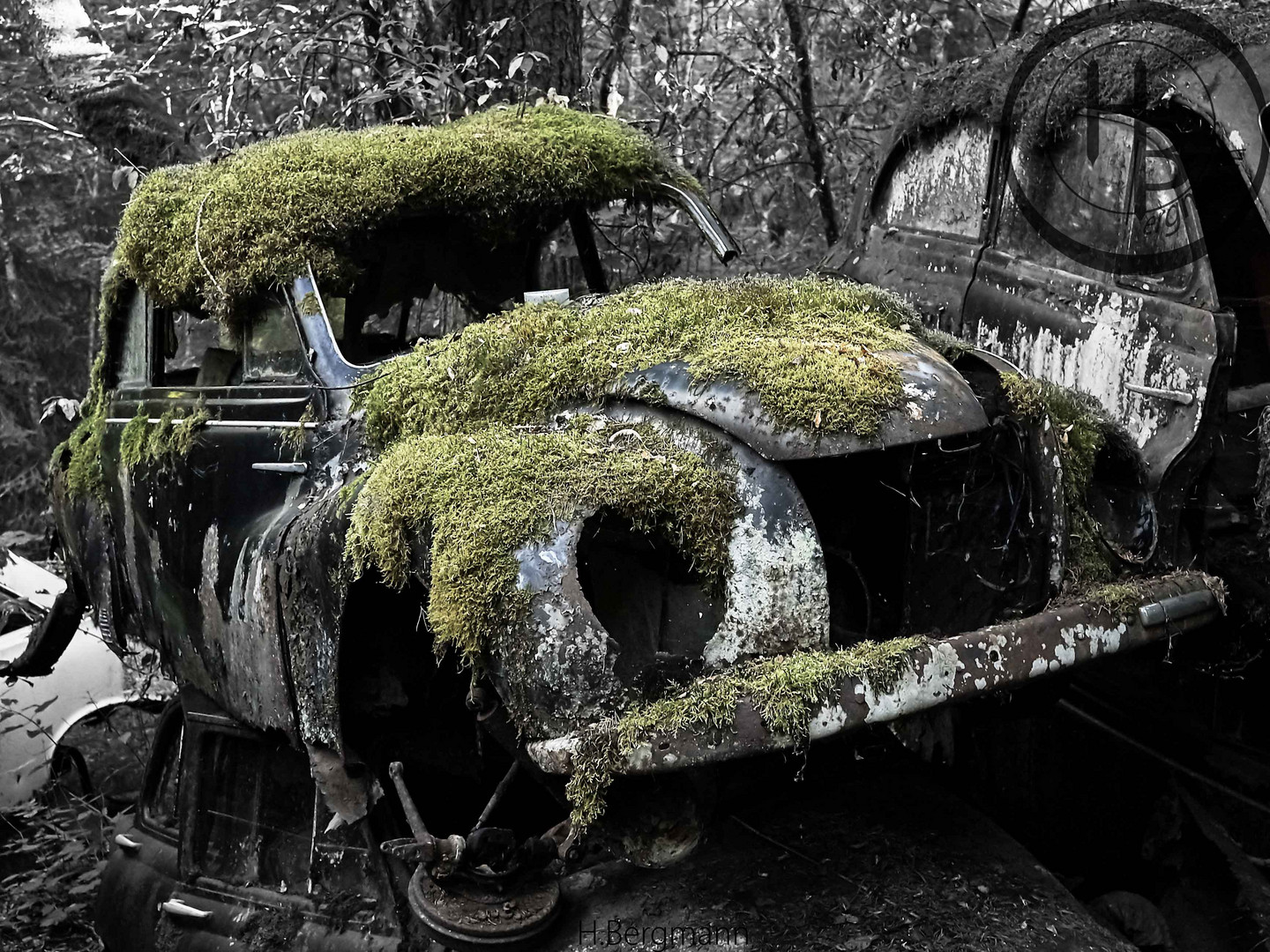 Autofriedhof