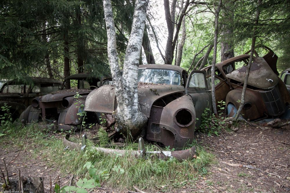 Autofriedhof