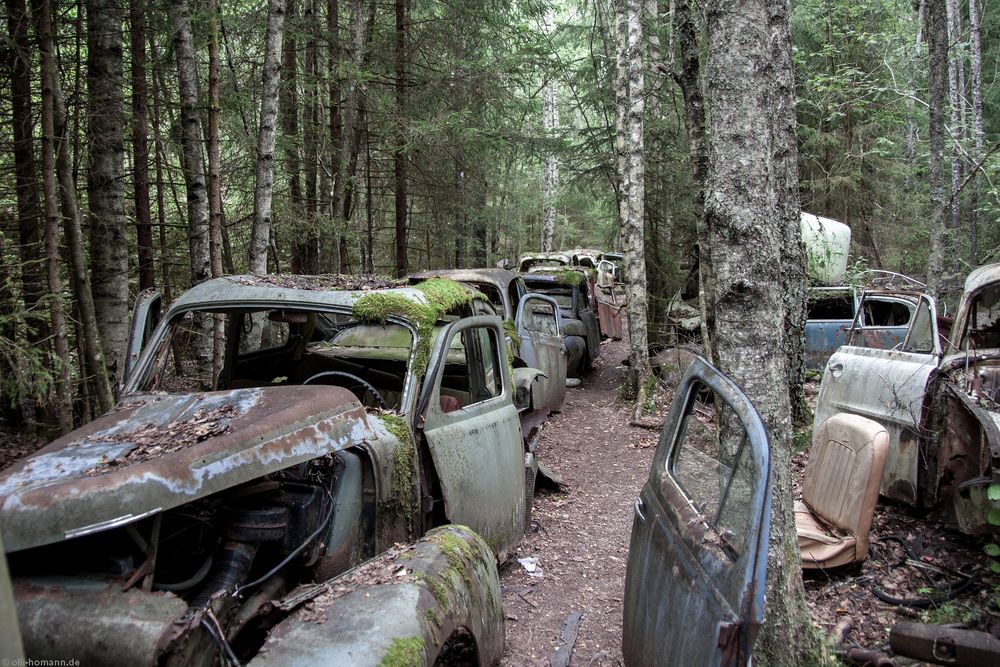 Autofriedhof.