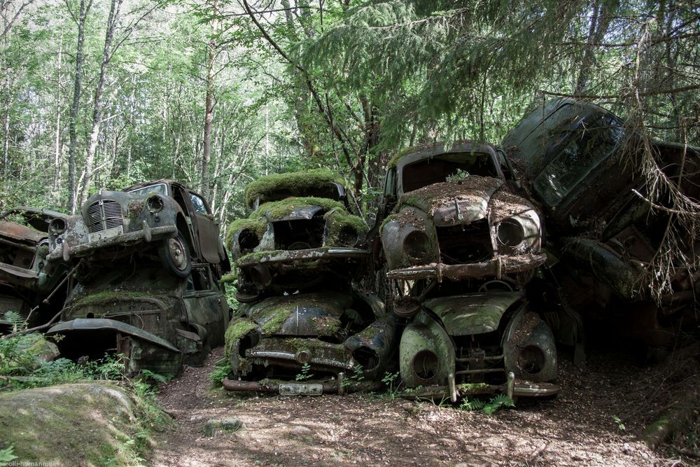 Autofriedhof