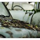 [ autofriedhof I ]