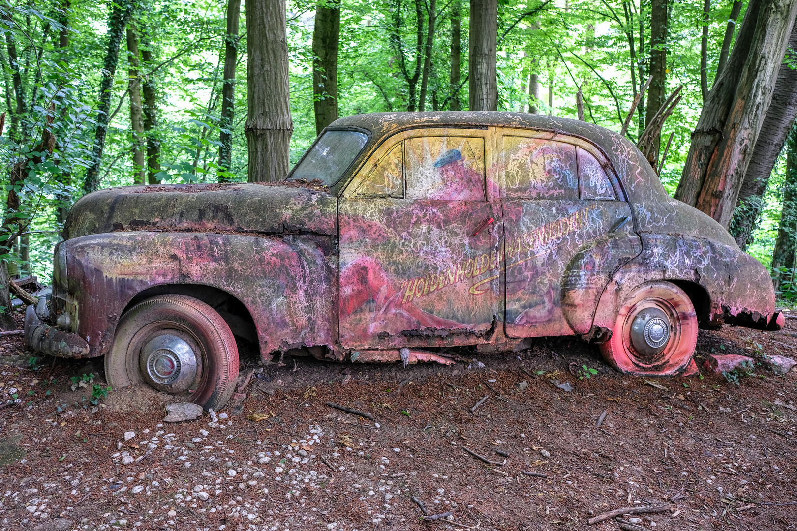 Autofriedhof - im Wald der toten Wagen