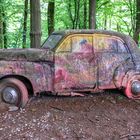 Autofriedhof - im Wald der toten Wagen