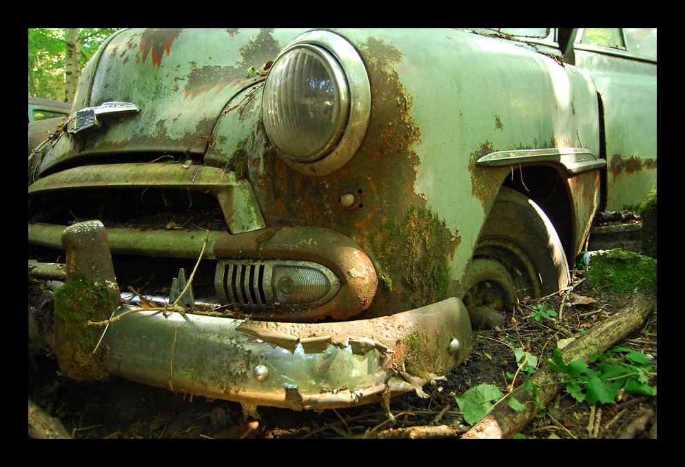 Autofriedhof im Wald VII