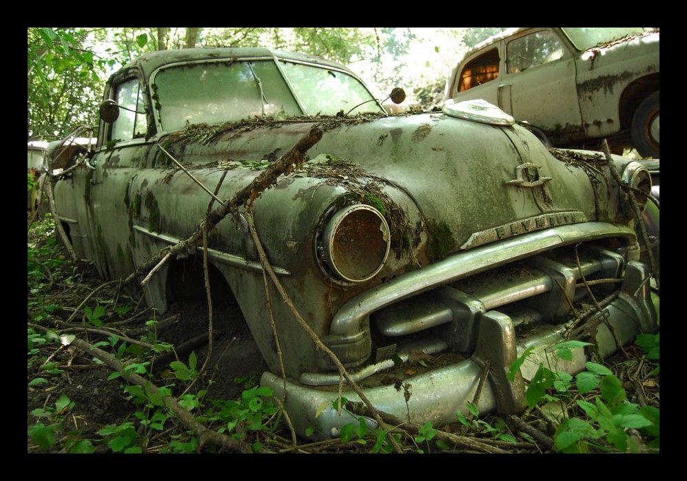 Autofriedhof im Wald VIII