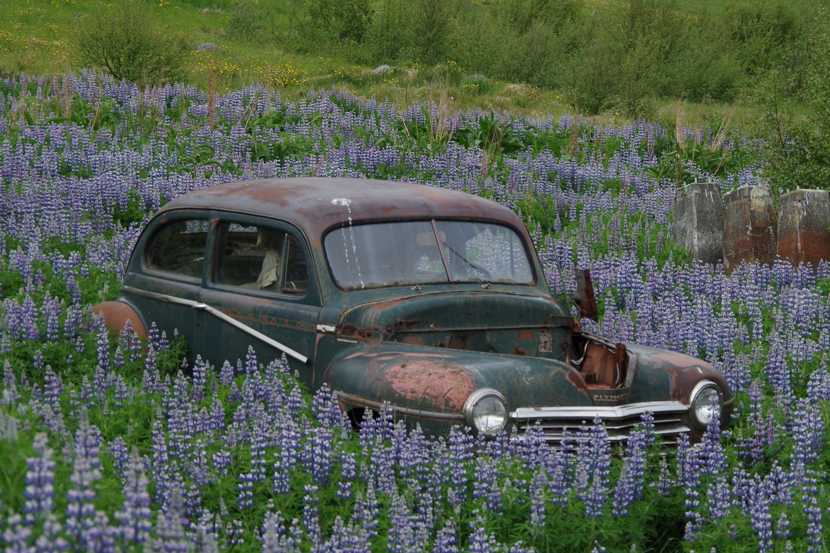 Autofriedhof in Egilsstadir