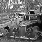 Autofriedhof in Gürbetal (Kaufdorf) 9.9.07