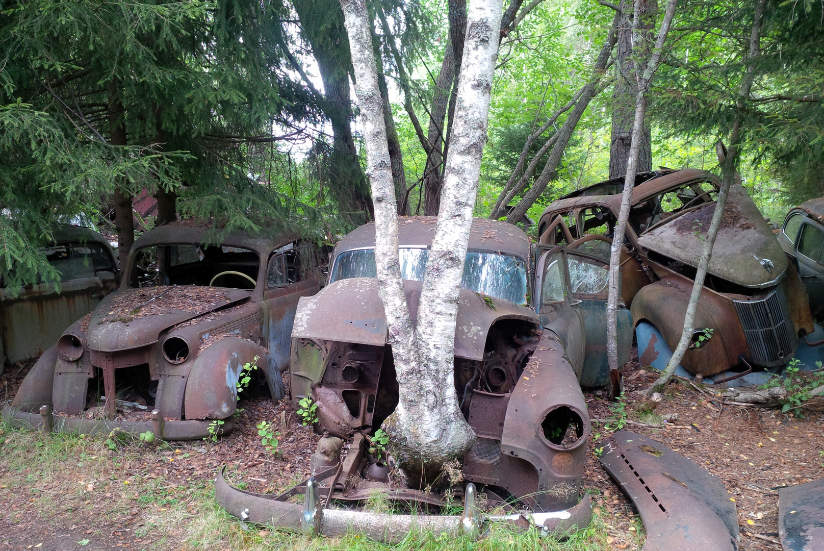 Autofriedhof in Schweden