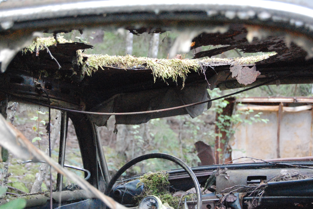 Autofriedhof in Südschweden I