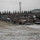 Autofriedhof in Wetaskawin/AB Canada