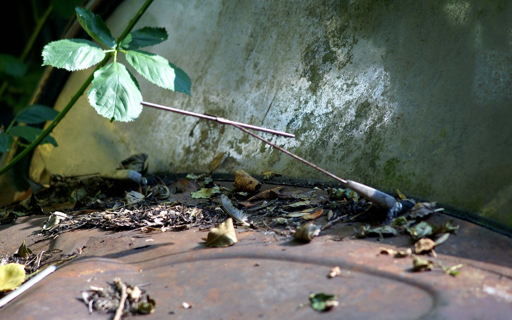 Autofriedhof Kaufdorf 04