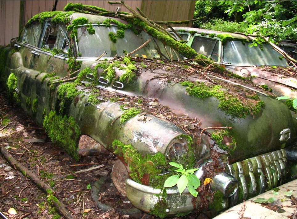 Autofriedhof Kaufdorf