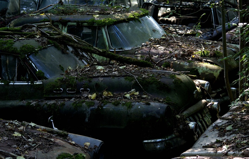 Autofriedhof Kaufdorf 06