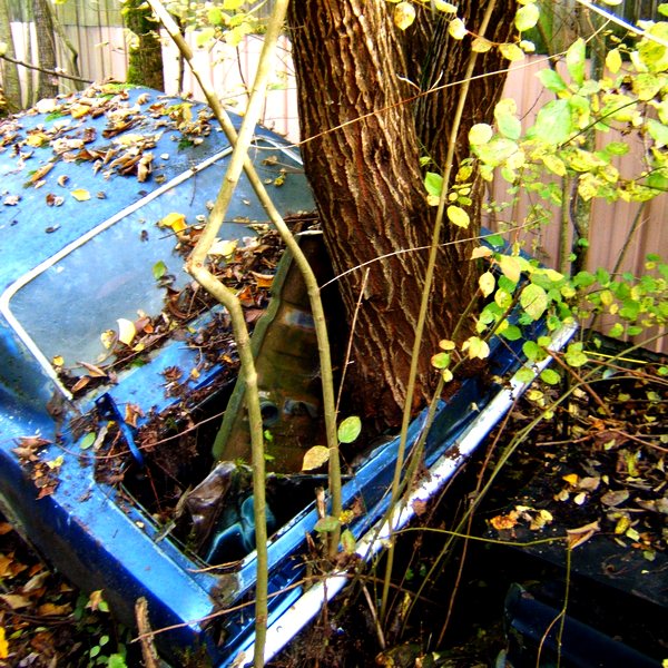 AutoFriedhof Kaufdorf CH, Du fehlst mir . . .