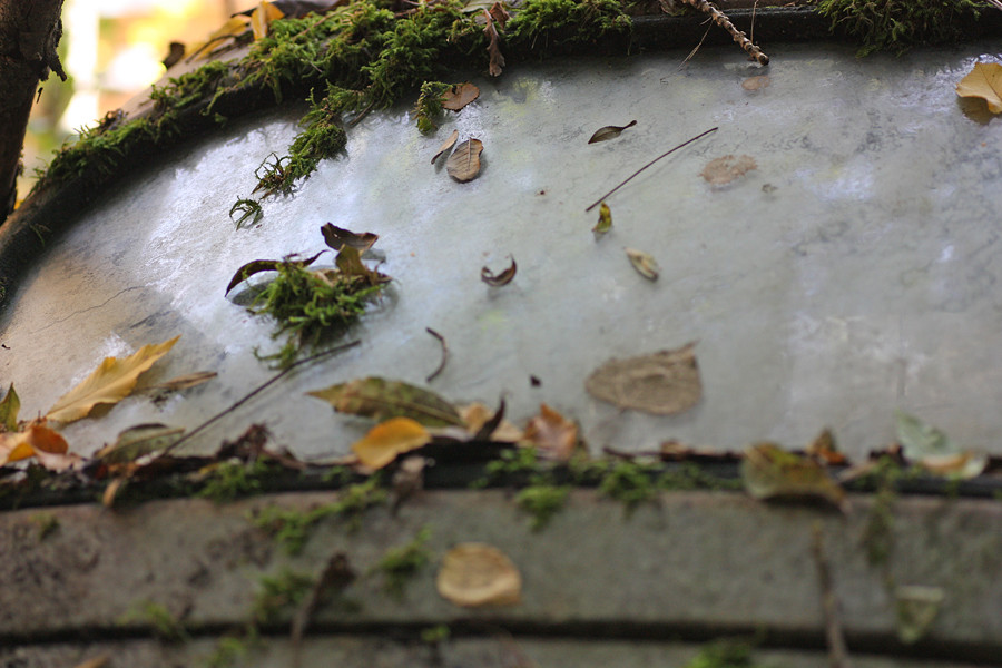 autofriedhof kaufdorf