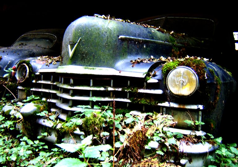 AutoFriedhof Kaufdorf Schweiz